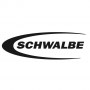 bicyclon_schwalbe_bw_logo